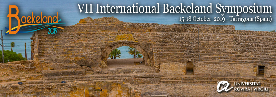 VII International Baekeland Symposium