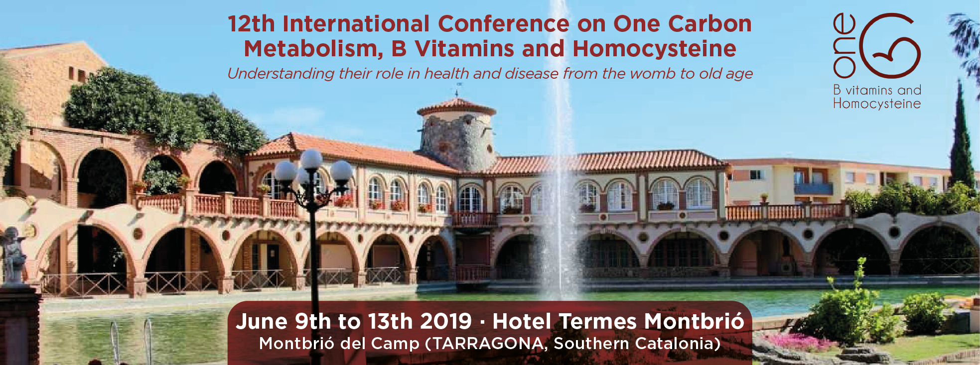 12th International Conference on One-Carbon Metabolism, B Vitamins and Homocysteine